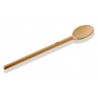 Wooden Spoon