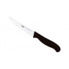 Steak knife