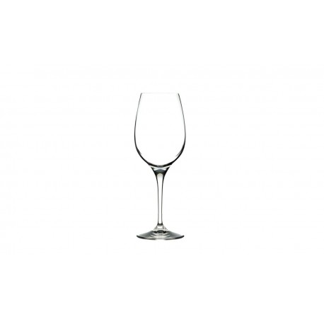 INVINO, White Wines Goblet