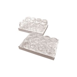 Gourmet glasses, 12 pcs