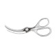 Seafood Scissors