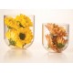 Martellato JAPAN Dessert Glasses