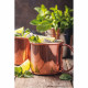 Moscow Mule Mug